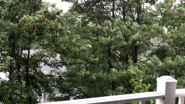 树在强风和暴雨中吹，从阳台上看视频下载