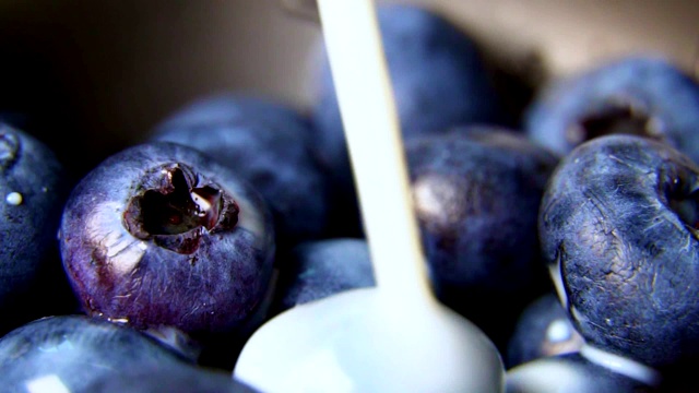 牛奶倒在蓝莓上。微距镜头。视频素材