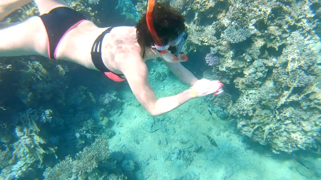 一名年轻女子在海中的珊瑚礁附近潜水。视频素材