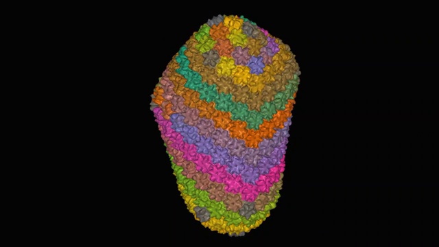 HIV-1衣壳的结构，动态三维表面模型视频素材