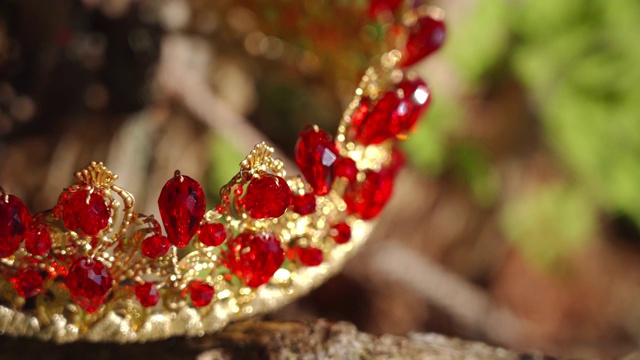 金色的皇冠，在树枝上镶嵌着红色的宝石视频下载