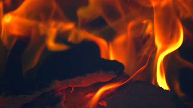燃烧木柴/ Kannauj，北方邦，印度视频下载
