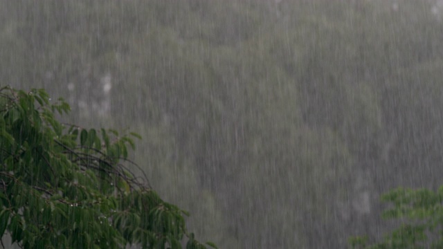 雨季下雨/印度北方邦Kannauj视频下载