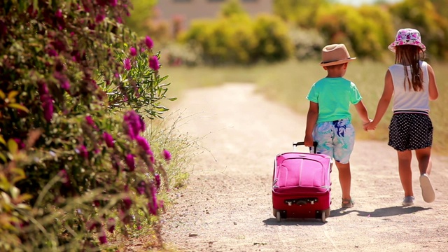可爱的孩子们戴着帽子，提着一个粉红色的手提箱在路上走着视频下载