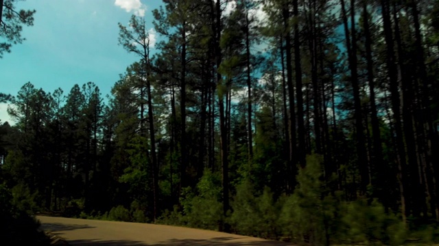 POV开车穿过森林和塞多纳视频下载