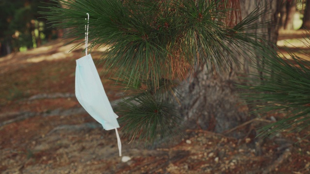 用过的医用口罩在松林的针叶树枝上随风移动视频素材