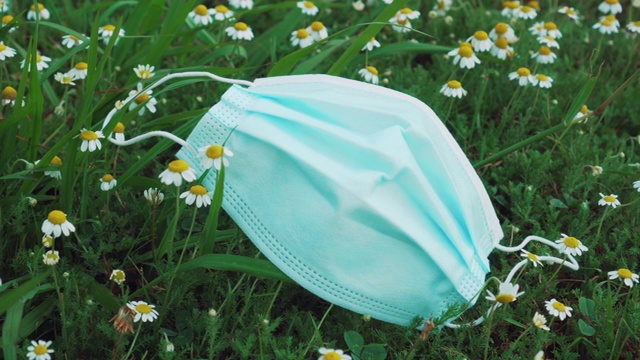 在雏菊田间和绿草中使用医用防护口罩视频素材