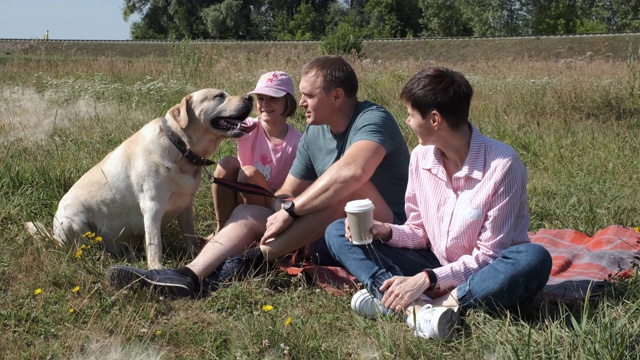 可爱的一家人和他们的狗坐在草坪上视频下载