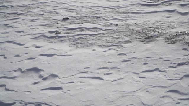 南极洲的漂流雪视频下载