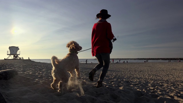 一个年轻漂亮的女人在沙滩上和她的狗一起跑步和玩耍视频下载