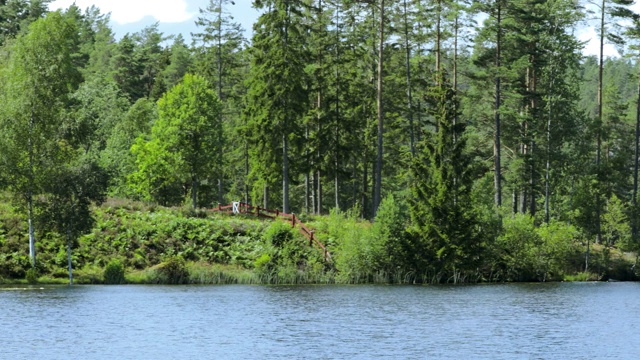 在阳光明媚的夏日湖上的美丽景色。绚丽多彩的自然背景。瑞典,欧洲。视频下载
