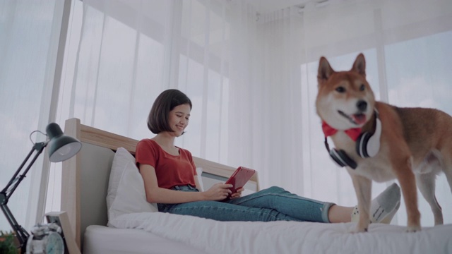 亚洲女人穿红衬衫和狗在床上。视频素材