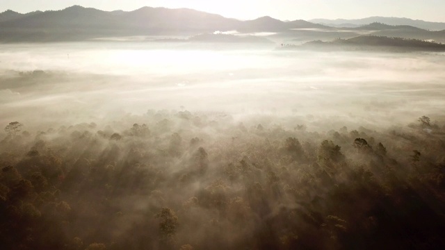 空中拍摄的云彩和薄雾在森林与日出在早上的时间视频素材