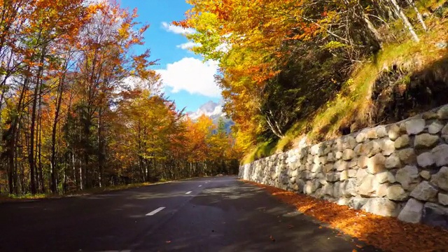 在阳光明媚的日子里，开车在山上穿过五彩缤纷的秋天森林视频素材