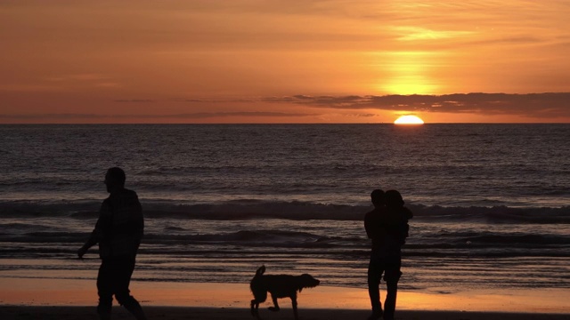 一家人在海滩上欣赏美丽的日落视频下载