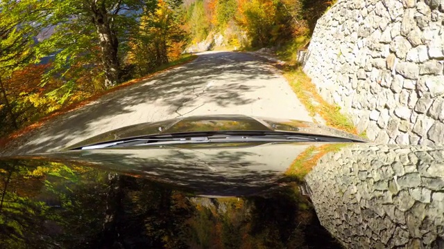 驾车在风景优美的道路上穿过秋天的森林视频素材