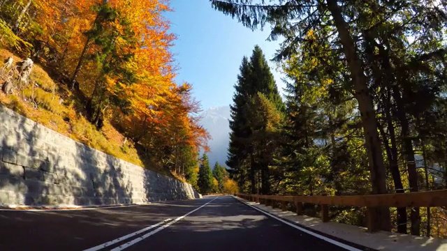 行驶在风景优美的道路上，穿过秋天的森林，阳光照耀着五颜六色的树叶视频素材