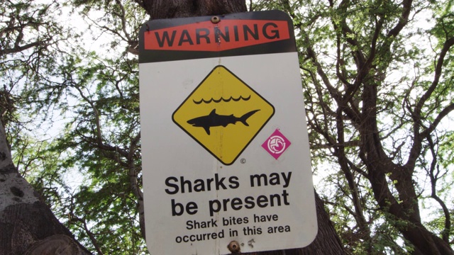夏威夷海滩上的鲨鱼警告标志视频下载