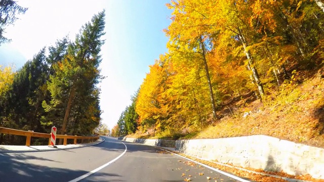 行驶在风景优美的道路上，穿过秋天的森林，阳光照耀着五颜六色的树叶视频素材