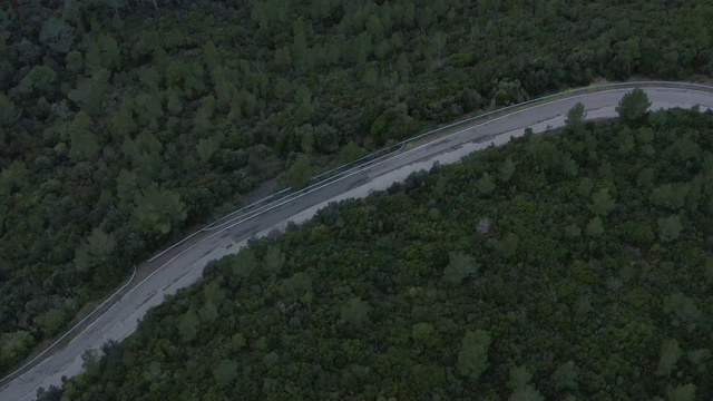 森林中乡村公路的鸟瞰图视频下载