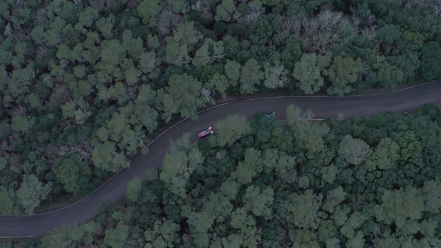 森林中乡村公路的鸟瞰图视频下载