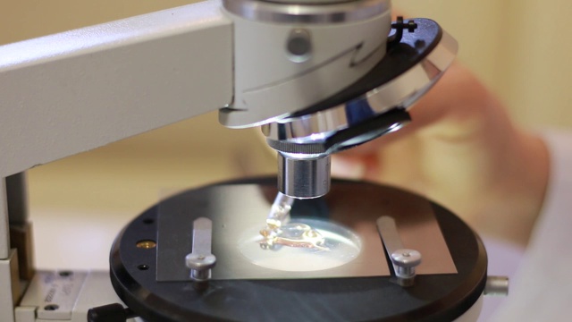 科学家在显微镜上检查生物材料-特写视图视频下载