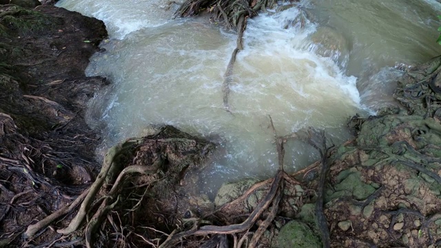 雨林中的瀑布和小溪视频素材