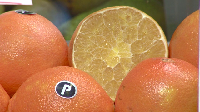 柑橘类水果视频下载
