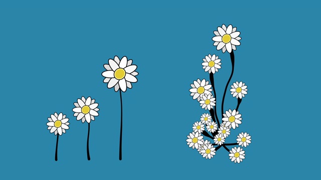 花卉装饰图案动画8视频素材