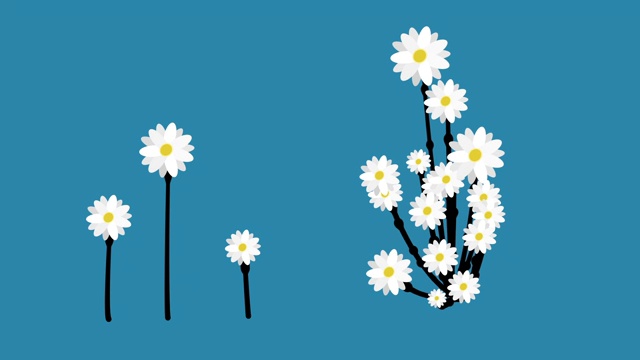花卉装饰图案动画6视频素材