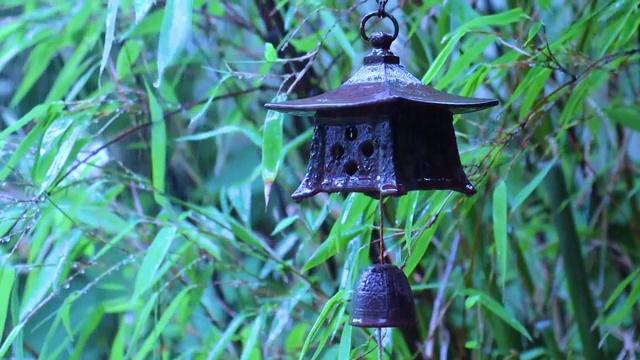 日本传统的小风铃在雨后的花园里栽有一株竹子视频素材