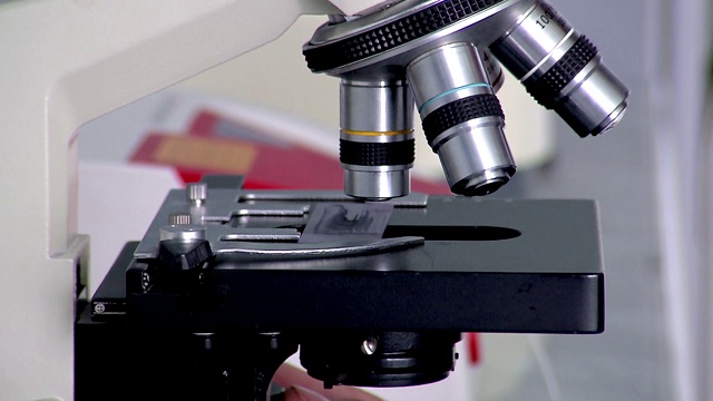 光学显微镜视频下载