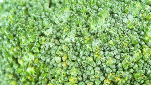 特写新鲜的绿色西兰花与水滴在木砧板上。视频下载