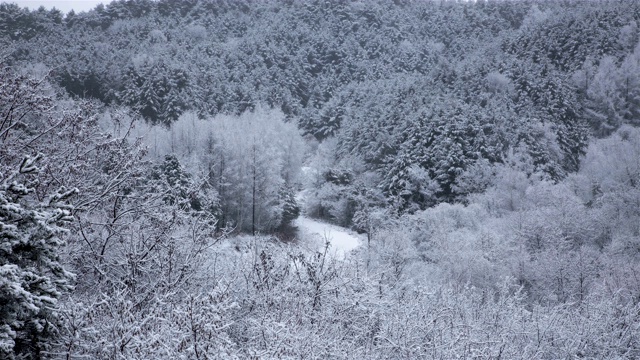 从冬季到春季的山脉/京畿道，韩国视频素材