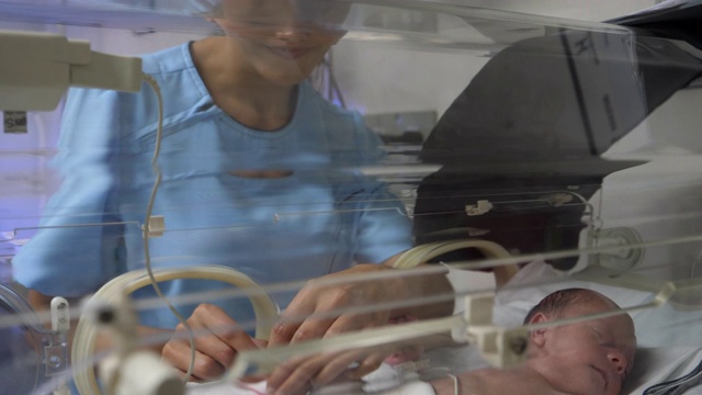 爱护婴儿的护士在保育箱中调整新生儿手环视频素材