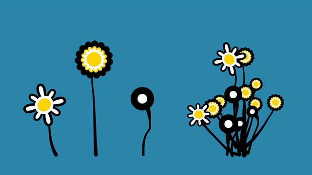 花卉装饰图案动画11视频素材