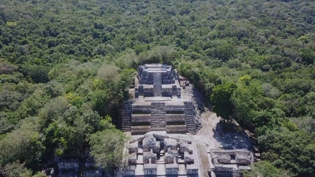 金字塔隐藏在雨林中视频素材
