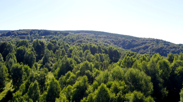 飞行在一个美丽的森林在一个广阔的山区地形视频素材