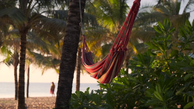 在棕榈树的树冠下，海滨的五彩吊床视频下载