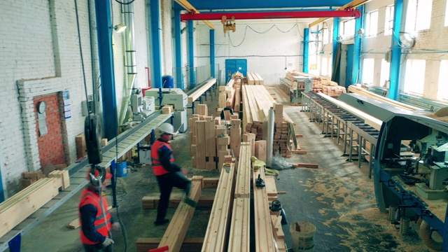 技术人员正在一家木工工厂的厂房里工作视频下载