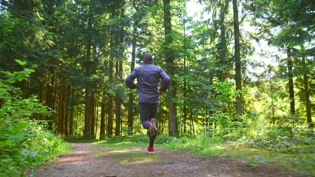 SLO MO TS男性跑步者在阳光下的森林小路上跑步视频素材