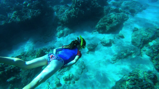 在夏威夷，一名女子在清澈的水中潜水视频素材