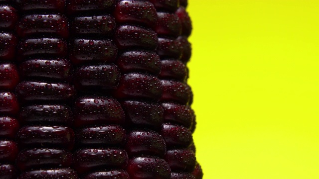 紫色玉米在黄色渐变背景上旋转视频下载