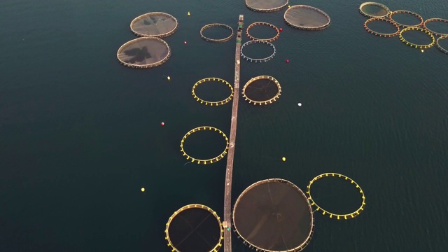 一个大型海洋养鱼场的鸟瞰图视频下载