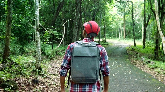 在森林里散步和放松的人视频下载
