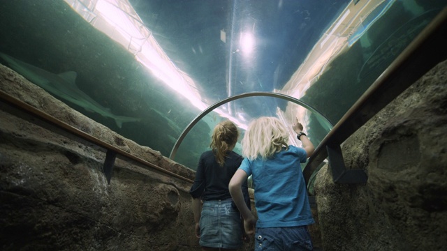 孩子们在水族馆隧道里奔跑，他们跟着大鱼游泳视频素材
