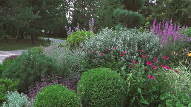 公园花坛的全景图视频下载