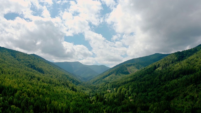 空中无人机视图。在夏季山上有云杉树冠的绿色松林。V4视频素材