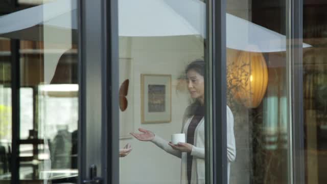 优雅成熟的女人与年轻的女商人在咖啡店交谈，HD视频素材