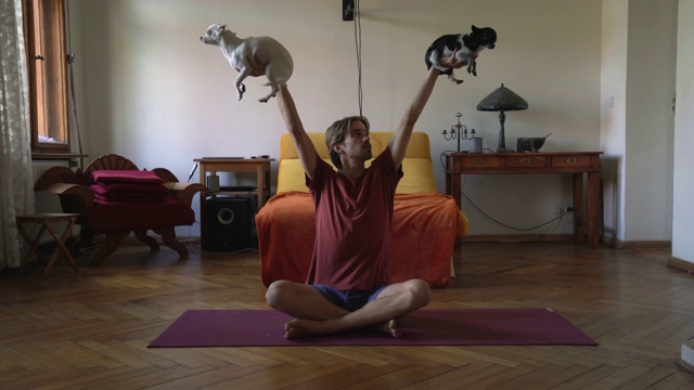 一个年轻人在健身时把两只狗举到空中视频下载